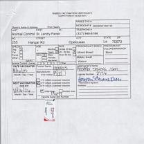 Thumbnail photo of WISDOM #2