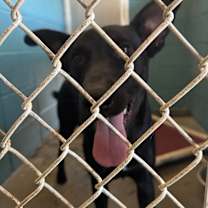 Thumbnail photo of WISDOM #3