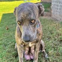 Thumbnail photo of Mia #2