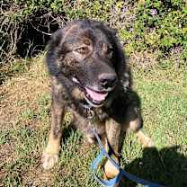 Thumbnail photo of Jake #2