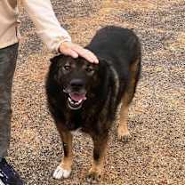 Thumbnail photo of Jake #3