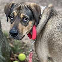 Thumbnail photo of Luv #1