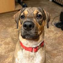 Thumbnail photo of Luv #3