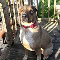 Thumbnail photo of Luv #4