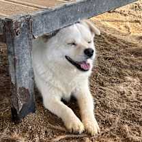 Thumbnail photo of Sunho #3