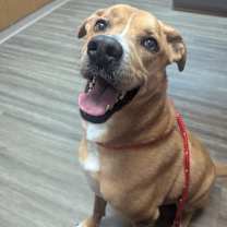 Thumbnail photo of Toby #1