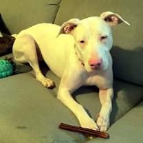 Thumbnail photo of Cassie #2