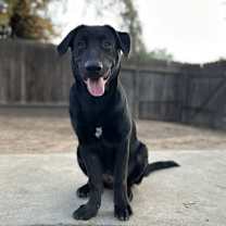 Thumbnail photo of Titus & Tyson #3