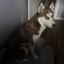 Thumbnail photo of Athena #2