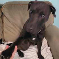 Thumbnail photo of Freddy! Outgoing Boy! #3