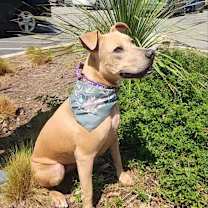 Thumbnail photo of Winona JuM #4