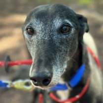 Thumbnail photo of Richard #1