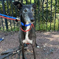 Thumbnail photo of Richard #2