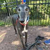 Thumbnail photo of Richard #4