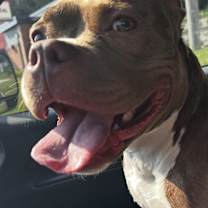 Thumbnail photo of Willow #3