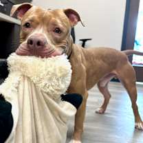 Thumbnail photo of Gabe #4