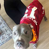 Thumbnail photo of Daphne #2