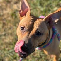 Thumbnail photo of Ernie #3