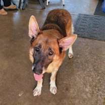 Thumbnail photo of Salvador #4