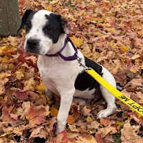 Thumbnail photo of TIMELESS #4