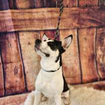 Thumbnail photo of Lola JuM #4