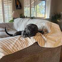 Thumbnail photo of Kiko #1