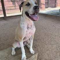 Thumbnail photo of LUXOR #2