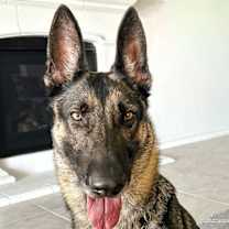 Thumbnail photo of Keilani #1