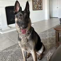 Thumbnail photo of Keilani #3