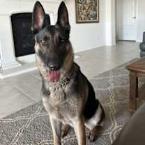 Thumbnail photo of Keilani #4