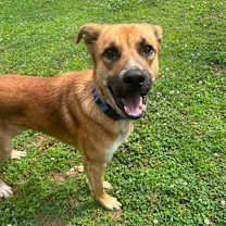 Thumbnail photo of Hinata #2