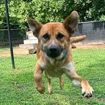 Thumbnail photo of Hinata #3