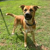 Thumbnail photo of Hinata #4