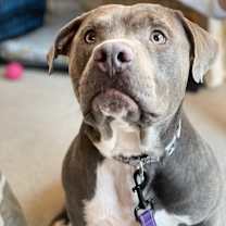 Thumbnail photo of Major #3