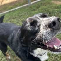 Thumbnail photo of Dolly #4