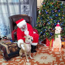 Thumbnail photo of Rae #4