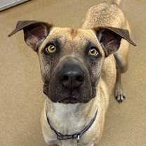 Thumbnail photo of Theo #2