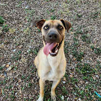 Thumbnail photo of Theo #3