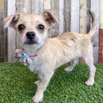 Thumbnail photo of Tia #1