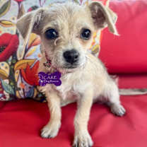 Thumbnail photo of Tia #2