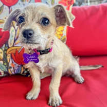 Thumbnail photo of Tia #3