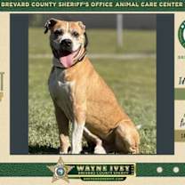 Thumbnail photo of Bane #1