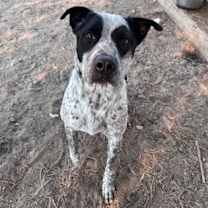 Thumbnail photo of Tex #2