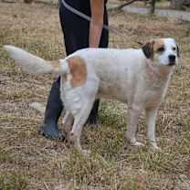 Thumbnail photo of Lena #2