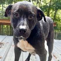 Thumbnail photo of Sister Sadie #2