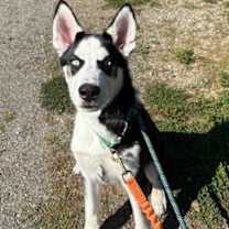 Thumbnail photo of Frack #1