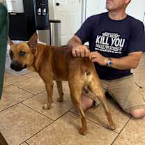 Thumbnail photo of Ozzy #2