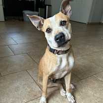 Thumbnail photo of Pearl #3