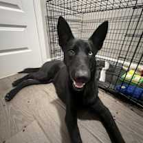 Thumbnail photo of LeRoy #2