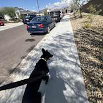 Thumbnail photo of LeRoy #4